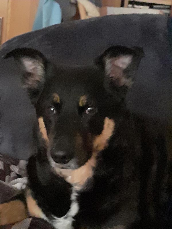 sternenkind leroy