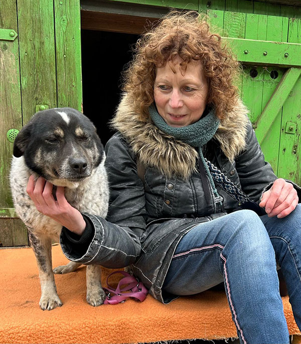 hund aus tierheim clara