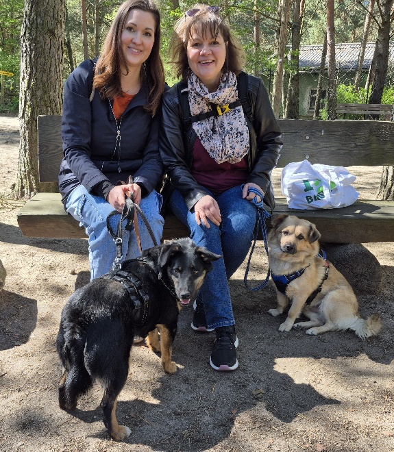 hund aus tierheim nessy