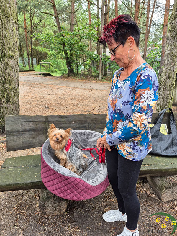 jasmina vermittelt hund aus dem tierheim bad belzig