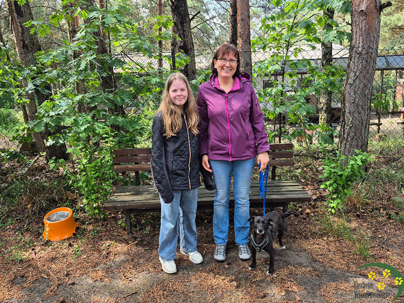 nadia vermittelt hund aus dem tierheim bad belzig