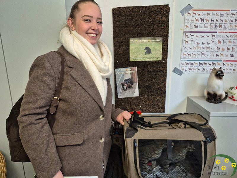 sam ophelia - Katzen aus dem Tierheim