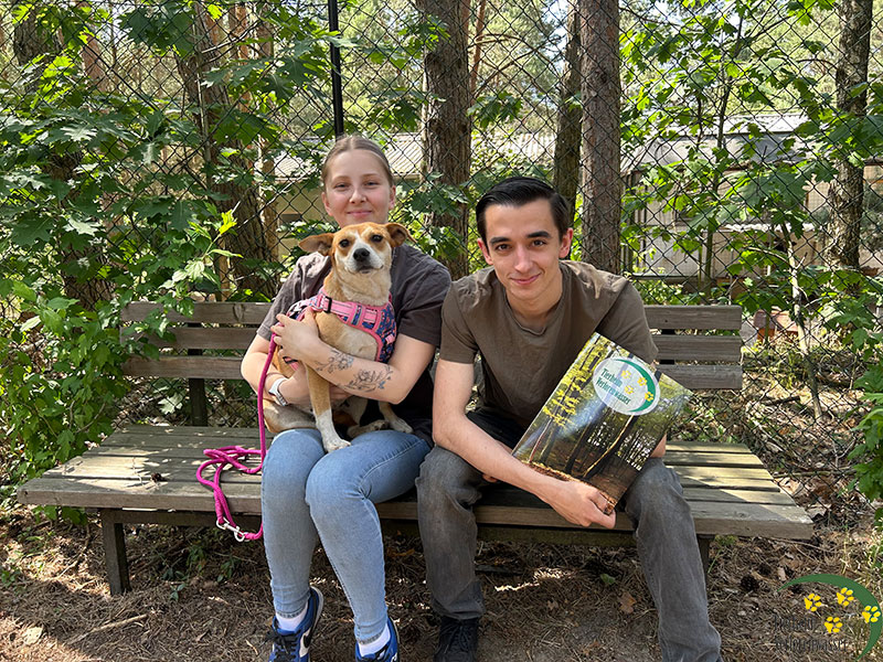 Anya, Tierheim Verlorenwasser, Bad Belzig