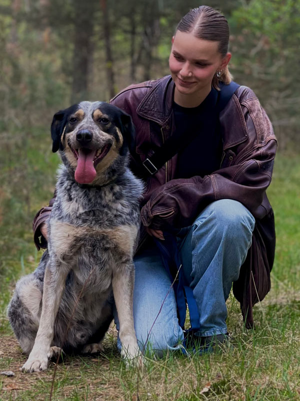 hund aus tierheim marty