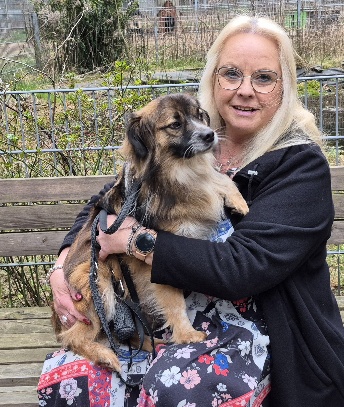 hund aus tierheim caspian