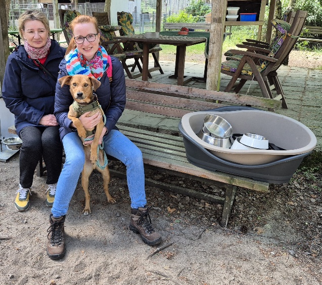 Hund Miki war zu Besuch bei uns im Tierheim