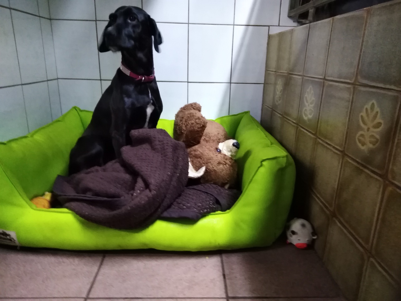 Na dann: Gute Nacht!