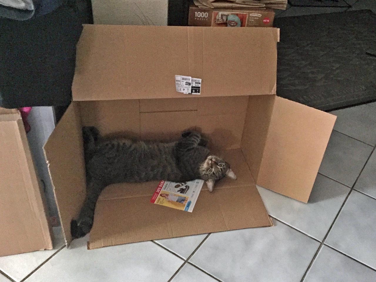 Winni Puh und Tigger