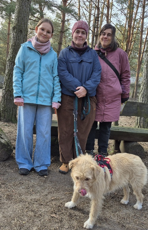 alissa hund aus dem tierheim brandenburg 2