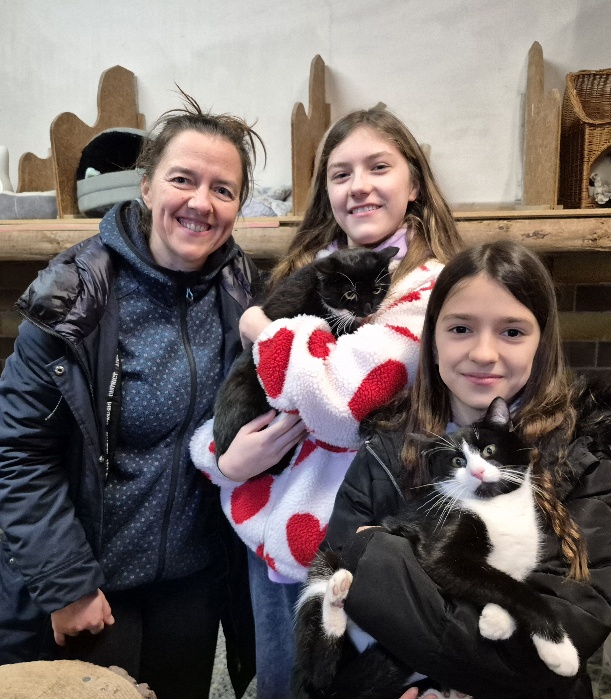 katze cassandra aus tierheim