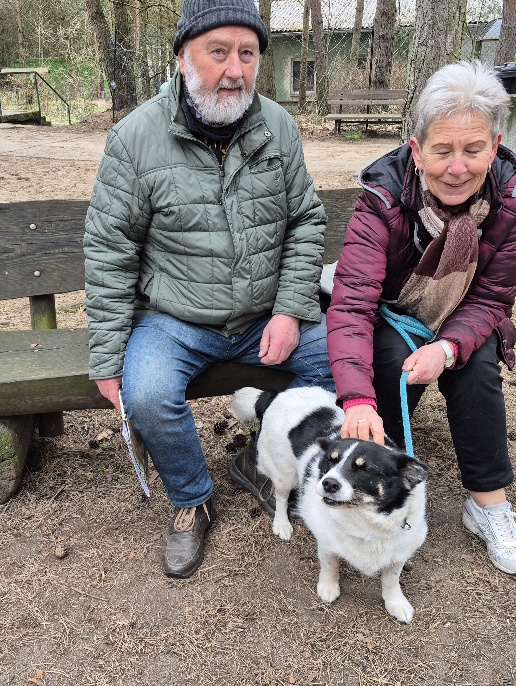 nevin hund aus dem tierheim brandenburg 