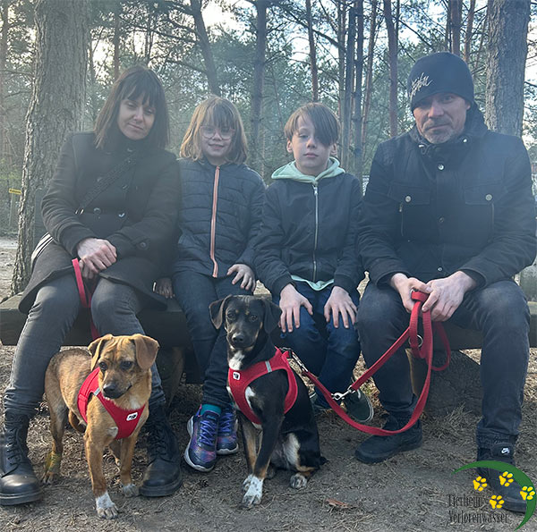 Lilly und Nancy - vermittelt.