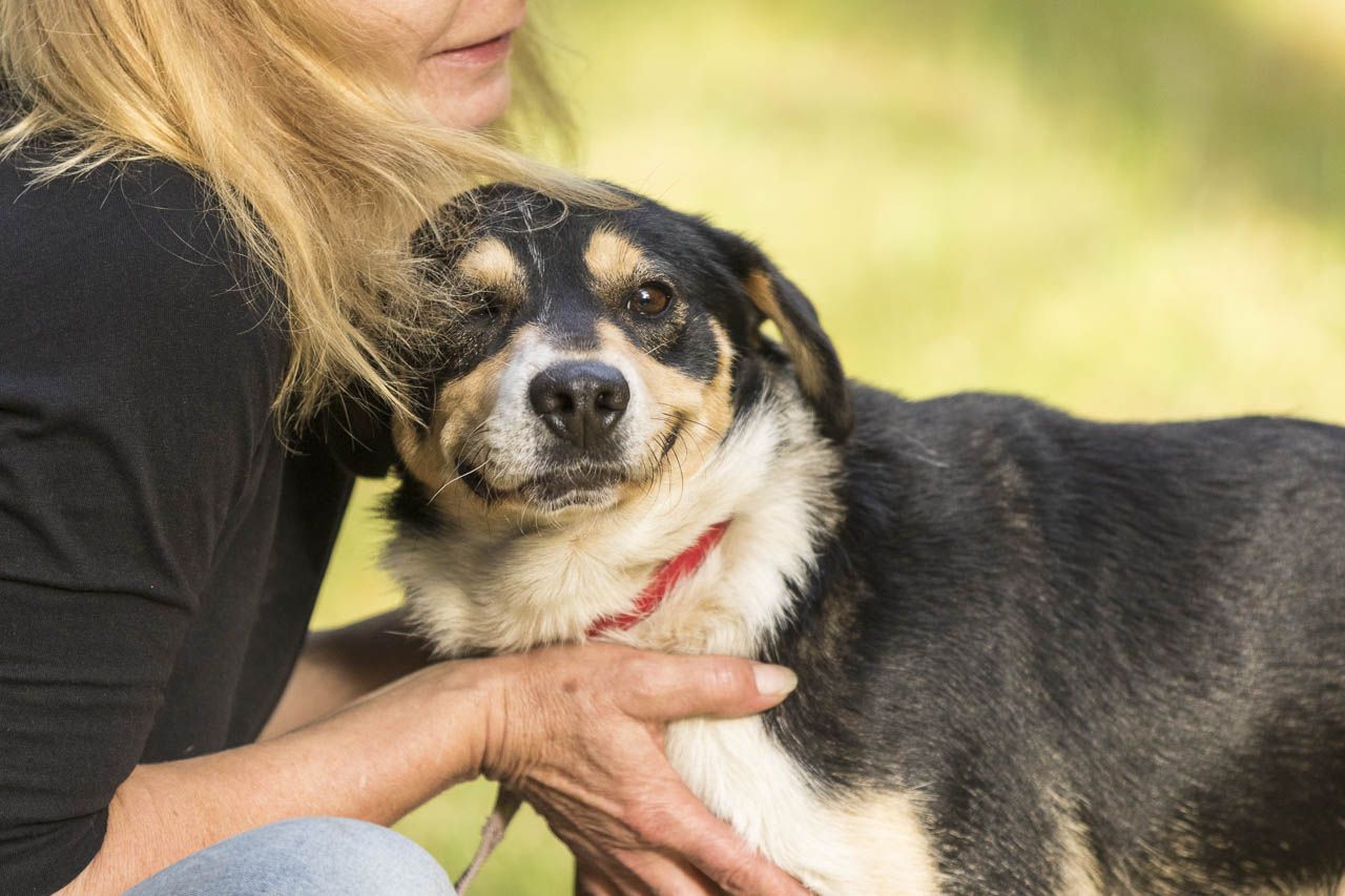 Aurelio freut sich auf Sie!